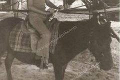 Rodeo