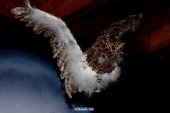 Il magico villaggio di Babbo Natale - 2018