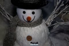 Il magico villaggio di Babbo Natale - 2018