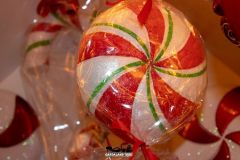 Il magico villaggio di Babbo Natale - 2018