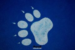 Il magico villaggio di Babbo Natale - 2019