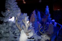 Il magico villaggio di Babbo Natale - 2019