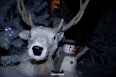 Il magico villaggio di Babbo Natale - 2019