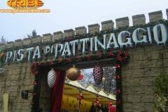 Pista pattinaggio Camelot