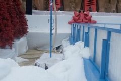 Playground sulla neve - 2014