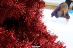 Playground sulla neve - 2014