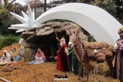 Presepe - 2014
