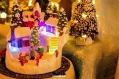 Winter Express - 2019