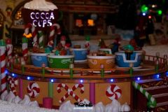 Winter Express - 2019