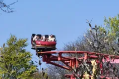 Gardaland-Tribe-Dragon-Rush-Attuale-2025-16