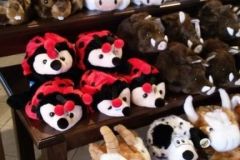 Adventure Store - 2014