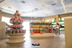 Adventure Store - 2016