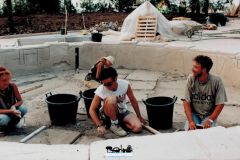 Jungle Shop - Costruzione Fontana