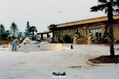 Jungle Shop - Costruzione Fontana