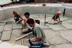 Jungle Shop - Costruzione Fontana