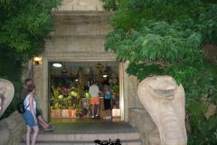 Jungle Shop - 2006
