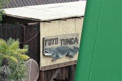 Photo Shop Tunga - 2002