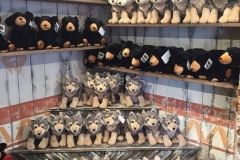 Shaman Shop - Costruzione