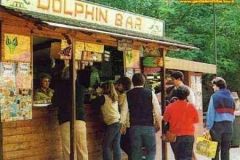 Bar Dolphin