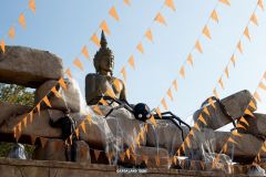 Bar Jungle Rapids - Magic Halloween - 2018