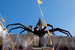 Bar Jungle Rapids - Magic Halloween - 2018