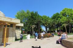 Bar Jungle Rapids - 2012