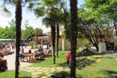 Bar Jungle Rapids - 2012