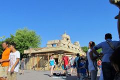 Bar Jungle Rapids - 2015