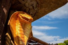 Bar Jungle Rapids - 2018