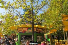 Play Bar - 2014