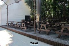 Piadineria West - 2016
