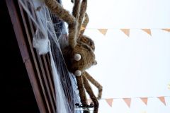 Buffalo Ranch - Magic Halloween - 2018