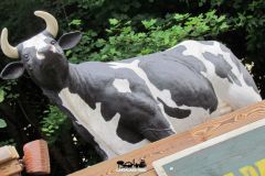 Buffalo Ranch - 2014