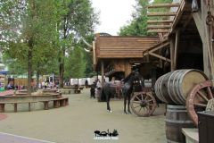 Buffalo Ranch - 2014