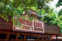 Buffalo Ranch - 2018