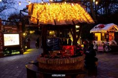 Hacienda Miguel - Magic Winter - 2015