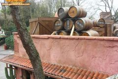 Hacienda Miguel - 2010