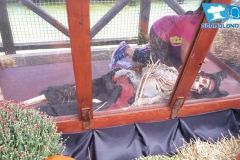 La locanda del corsari nero - Magic Halloween - 2014
