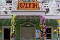 Pizzeria Saloon - Prezzemolo e Friends - 2021