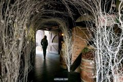 Trattoria Capitan Hook - 2015